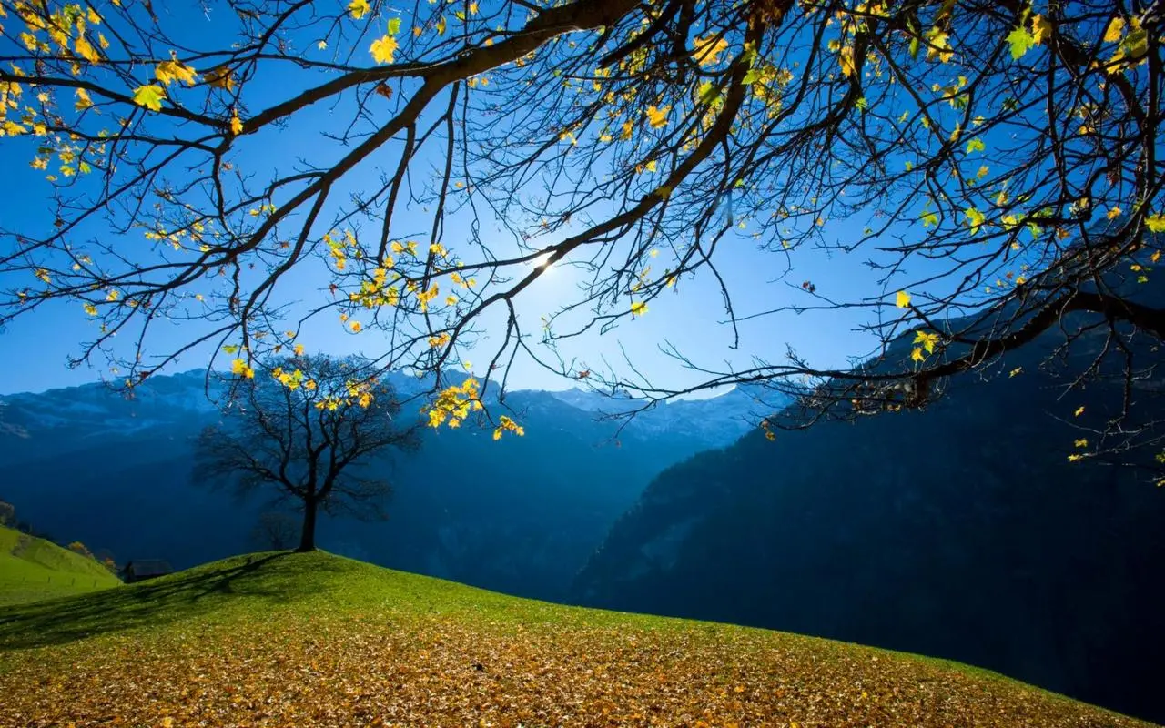智能化工业
